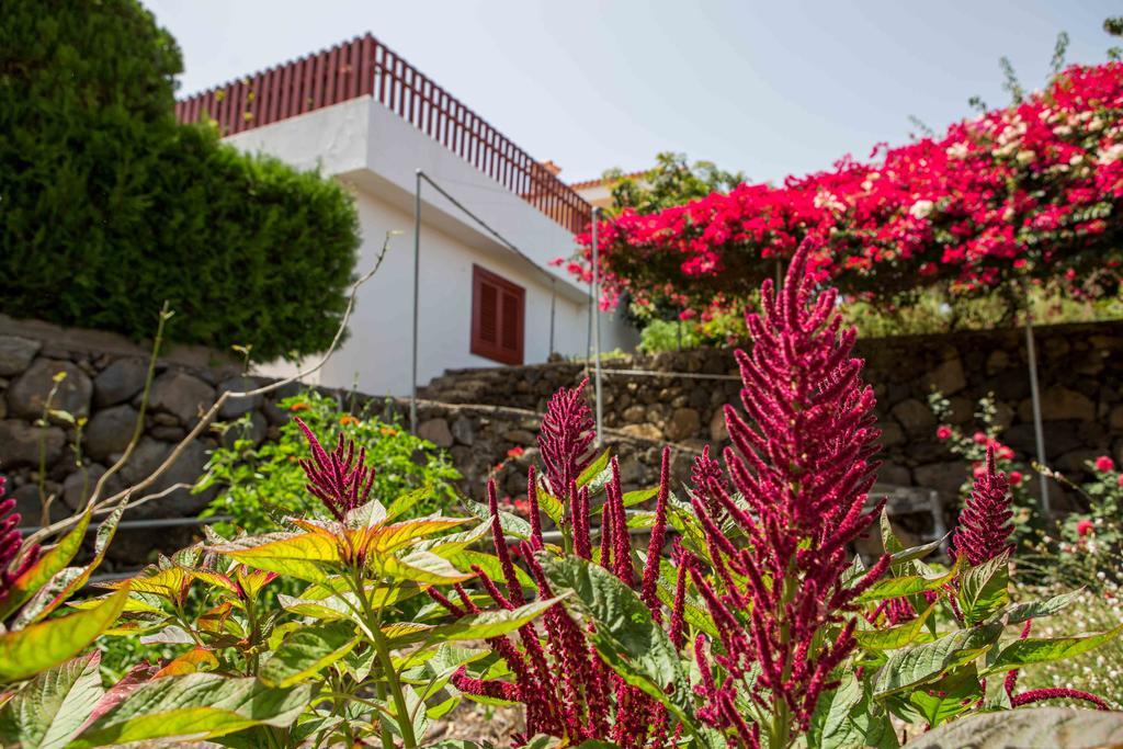 Casa Hedera Villa Brena Baja Exterior photo